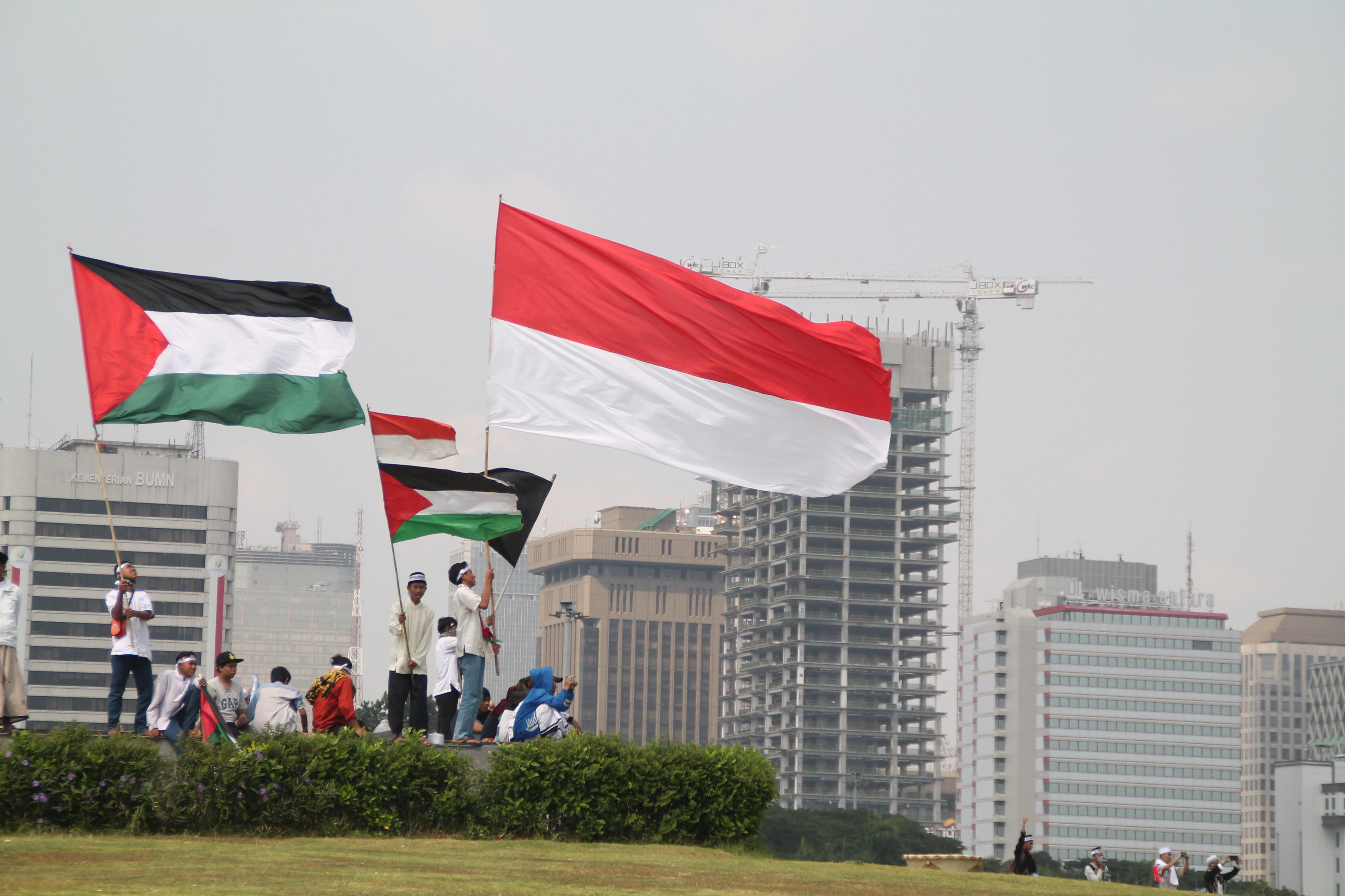 Detail Foto Bendera Palestina Dan Indonesia Nomer 19