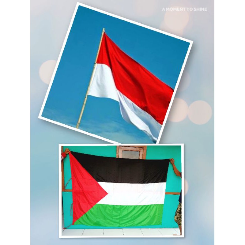 Detail Foto Bendera Palestina Dan Indonesia Nomer 22