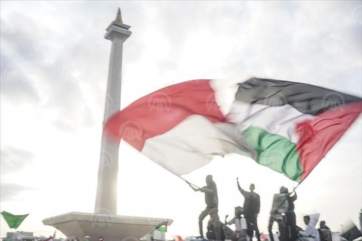 Detail Foto Bendera Palestina Dan Indonesia Nomer 37