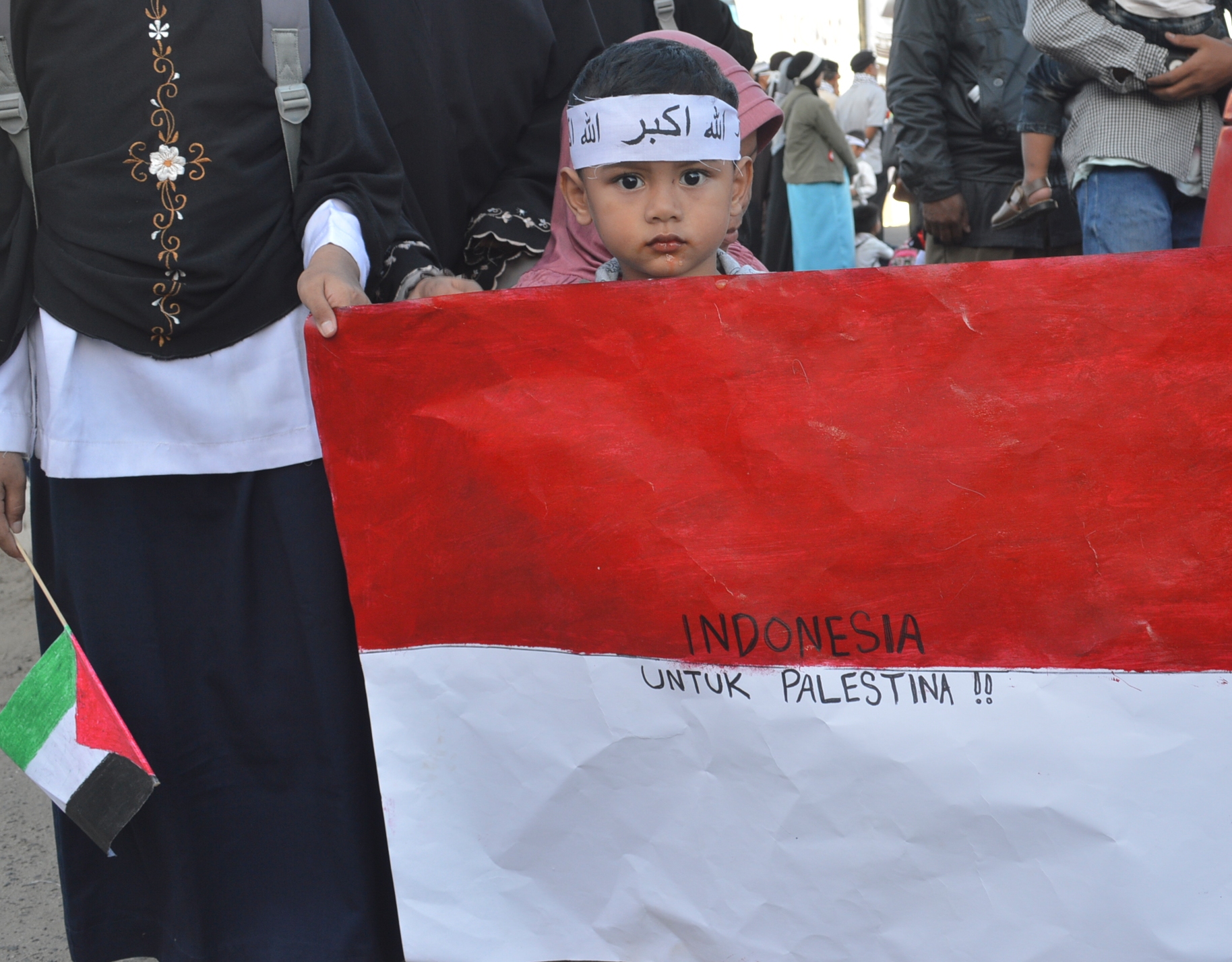 Detail Foto Bendera Palestina Dan Indonesia Nomer 42