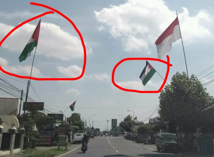 Detail Foto Bendera Palestina Dan Indonesia Nomer 43