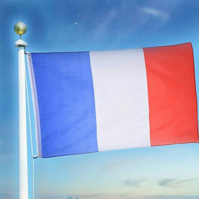 Detail Foto Bendera Perancis Nomer 44
