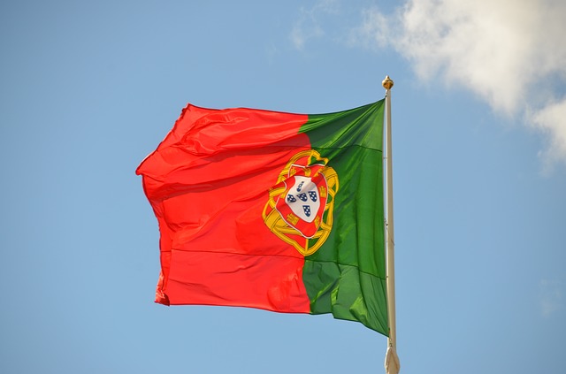 Detail Foto Bendera Portugal Nomer 23