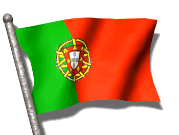 Detail Foto Bendera Portugal Nomer 43