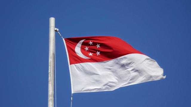 Detail Foto Bendera Singapura Nomer 28