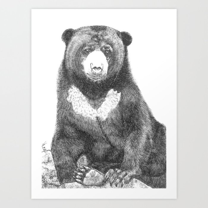Detail Foto Beruang Madu Nomer 47