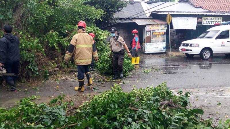 Detail Foto Berukuran Besar Nomer 39