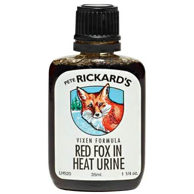 Detail Rotfuchs Jagd Nomer 17