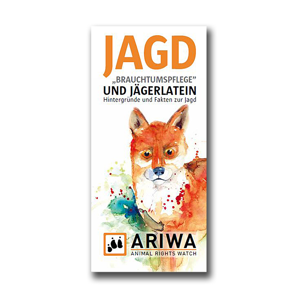 Detail Rotfuchs Jagd Nomer 22
