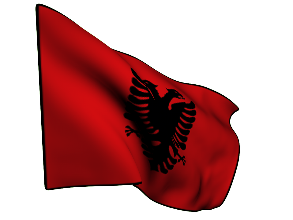 Detail Albanian Eagle Nomer 13