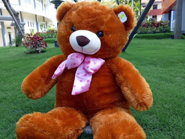 Detail Foto Boneka Beruang Coklat Nomer 36