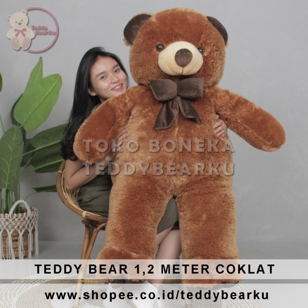 Detail Foto Boneka Beruang Coklat Nomer 6