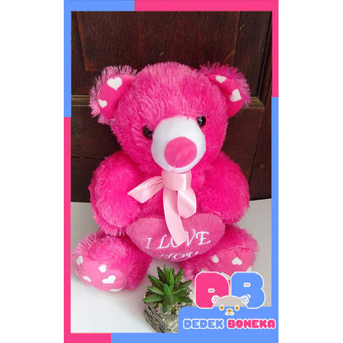 Detail Foto Boneka Beruang Lucu Nomer 54