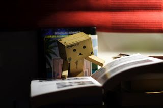 Detail Foto Boneka Danbo Nomer 13