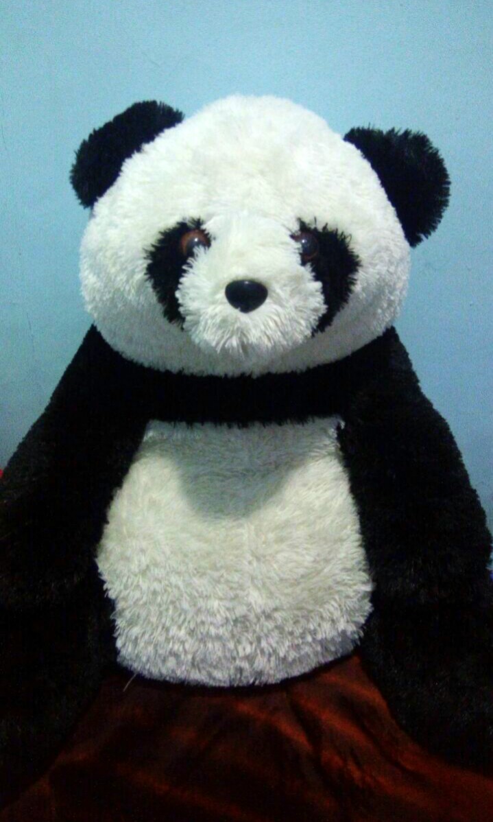 Detail Foto Boneka Panda Nomer 22