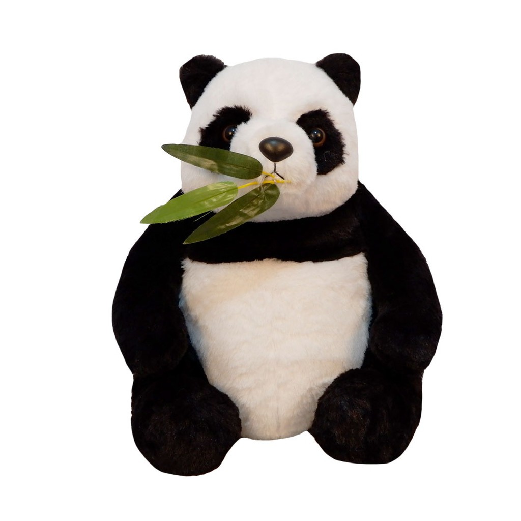 Detail Foto Boneka Panda Besar Nomer 16