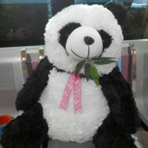 Detail Foto Boneka Panda Besar Nomer 18