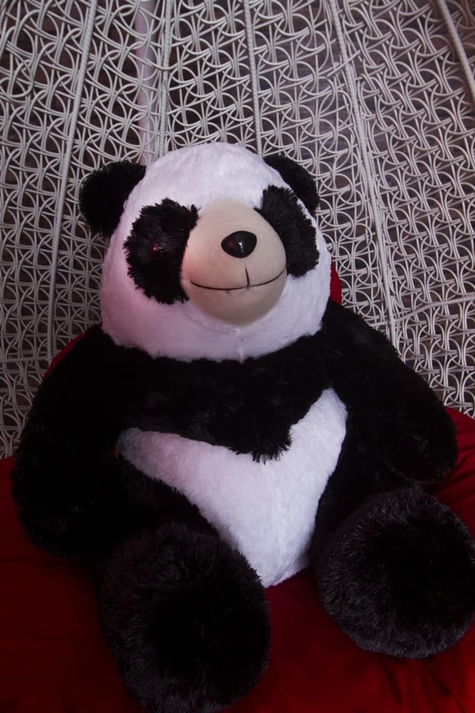 Detail Foto Boneka Panda Besar Nomer 52