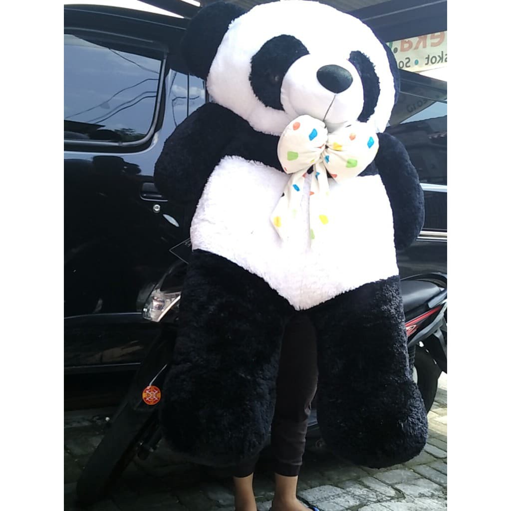 Detail Foto Boneka Panda Jumbo Nomer 23