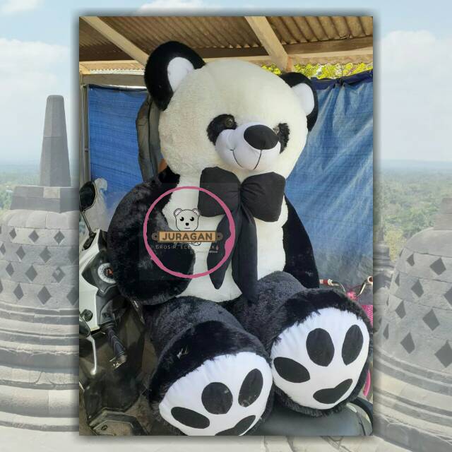 Detail Foto Boneka Panda Jumbo Nomer 31