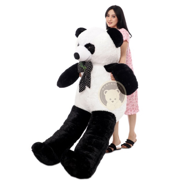 Detail Foto Boneka Panda Jumbo Nomer 39