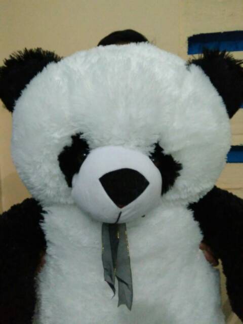 Detail Foto Boneka Panda Jumbo Nomer 47