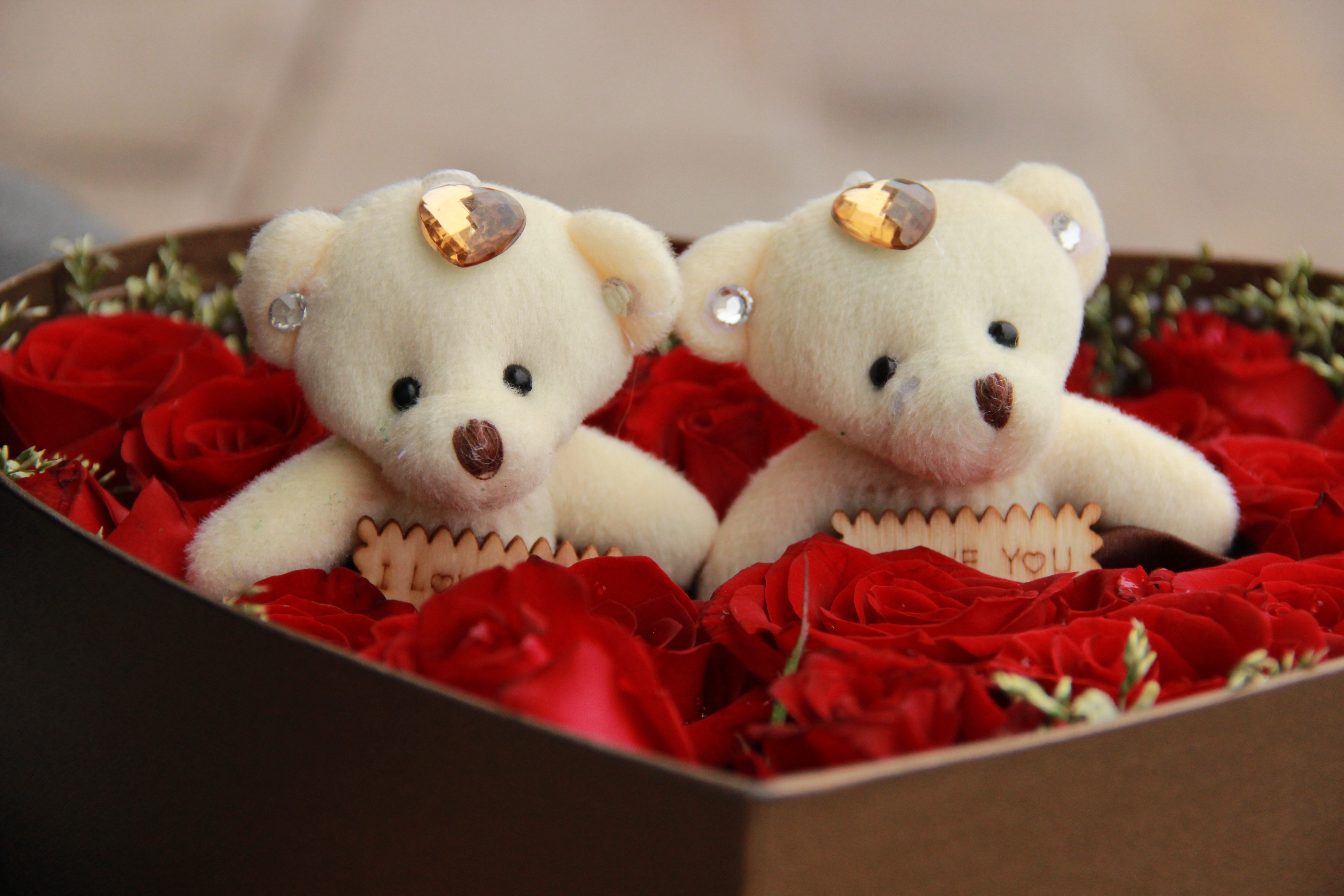 Detail Foto Boneka Romantis Nomer 39