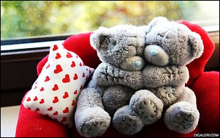 Detail Foto Boneka Romantis Nomer 8