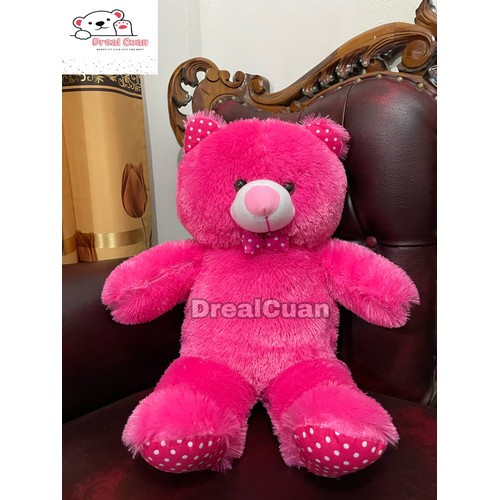 Detail Foto Boneka Teddy Bear Nomer 21