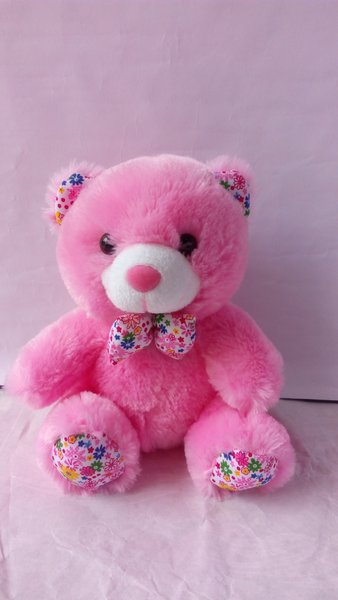 Detail Foto Boneka Teddy Bear Nomer 27