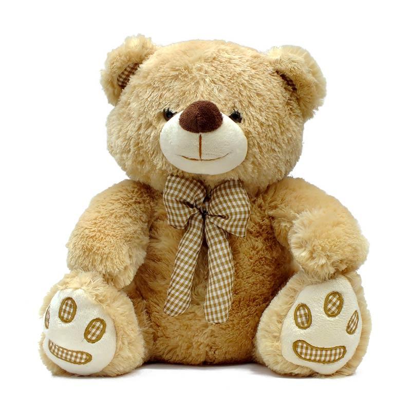 Detail Foto Boneka Teddy Bear Nomer 29