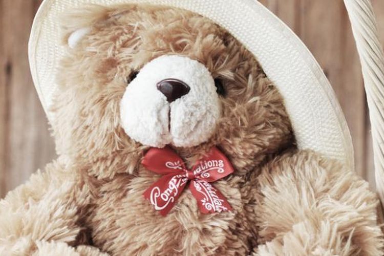 Detail Foto Boneka Teddy Bear Nomer 4