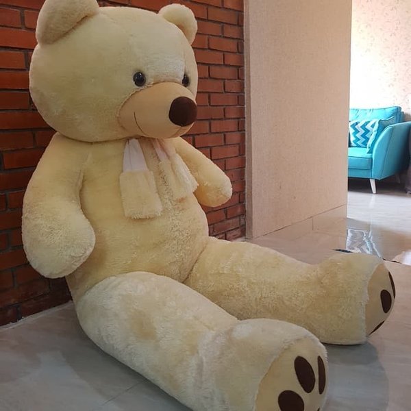 Detail Foto Boneka Teddy Bear Nomer 47