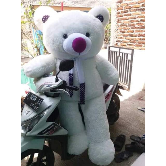 Detail Foto Boneka Teddy Bear Nomer 54