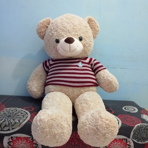 Detail Foto Boneka Teddy Bear Lucu Nomer 15