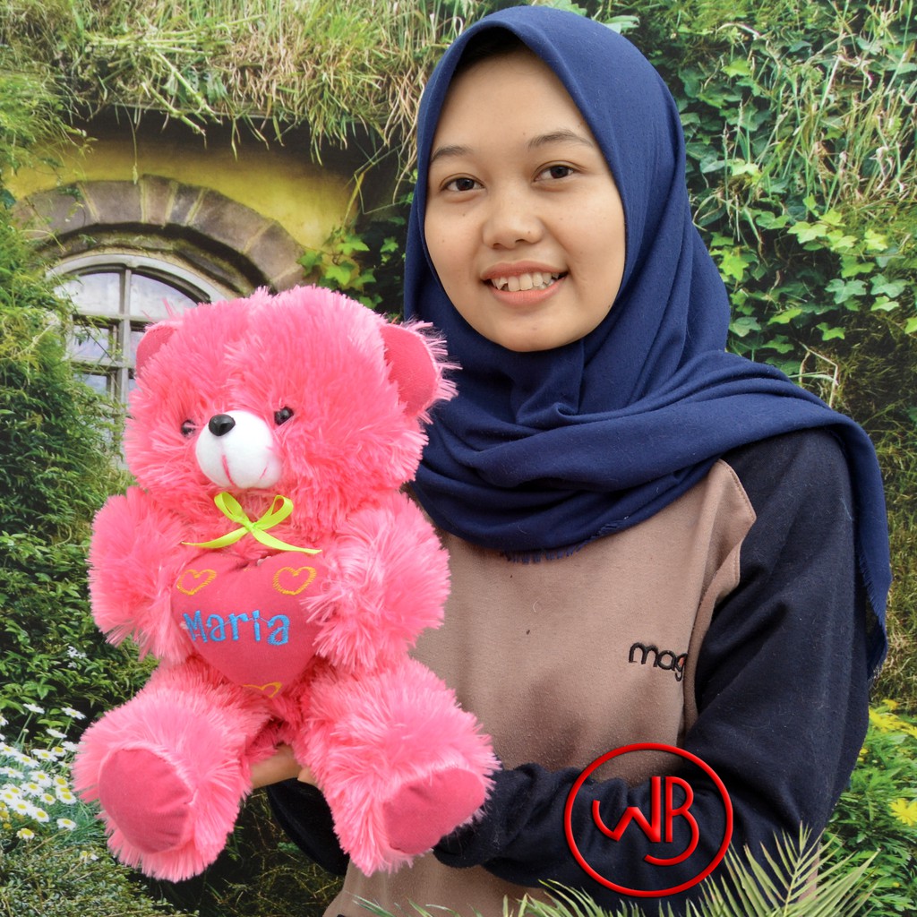 Detail Foto Boneka Teddy Bear Lucu Nomer 34