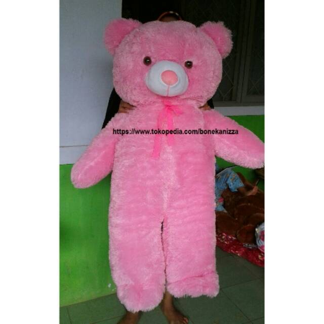 Detail Foto Boneka Teddy Bear Lucu Nomer 36