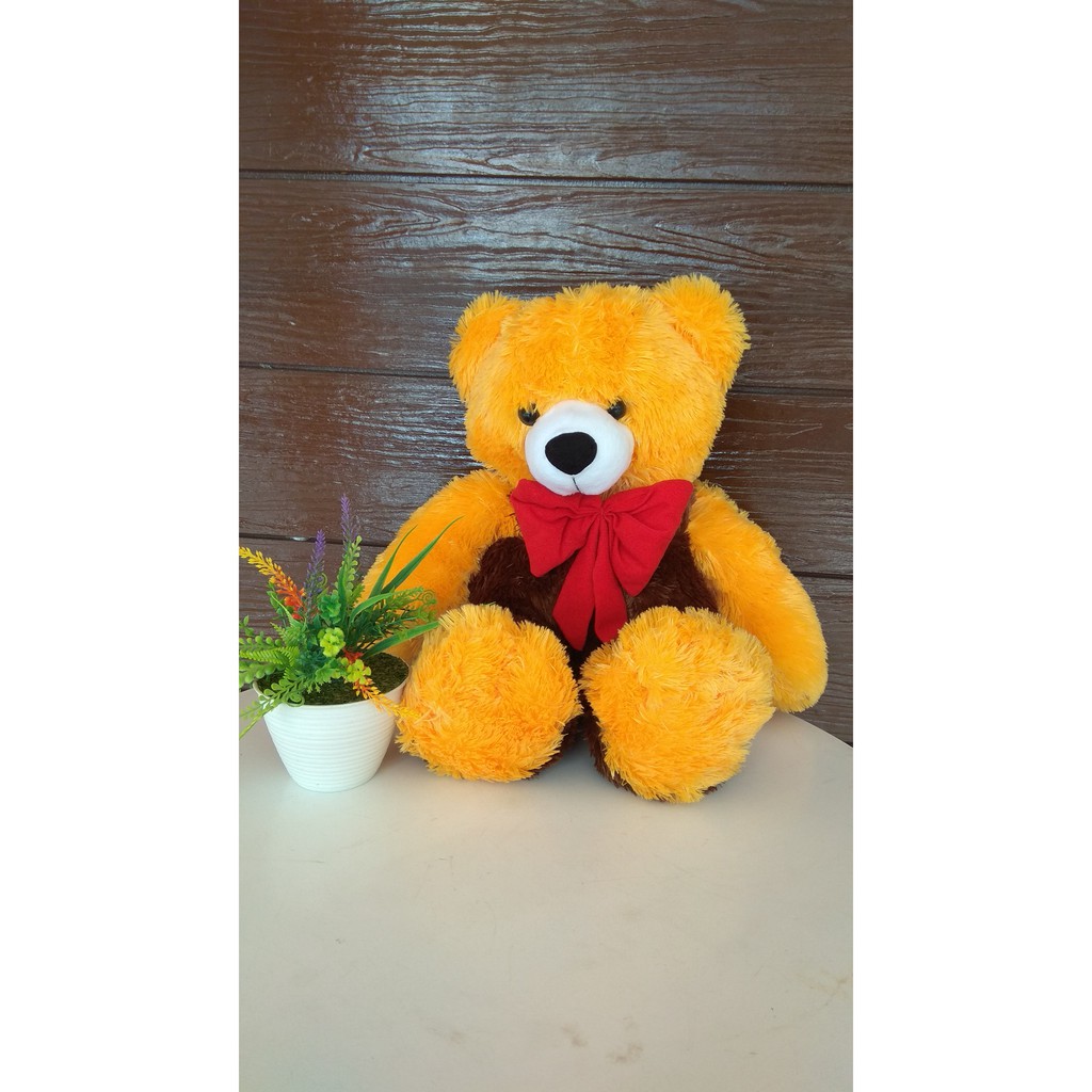 Detail Foto Boneka Teddy Bear Lucu Nomer 40