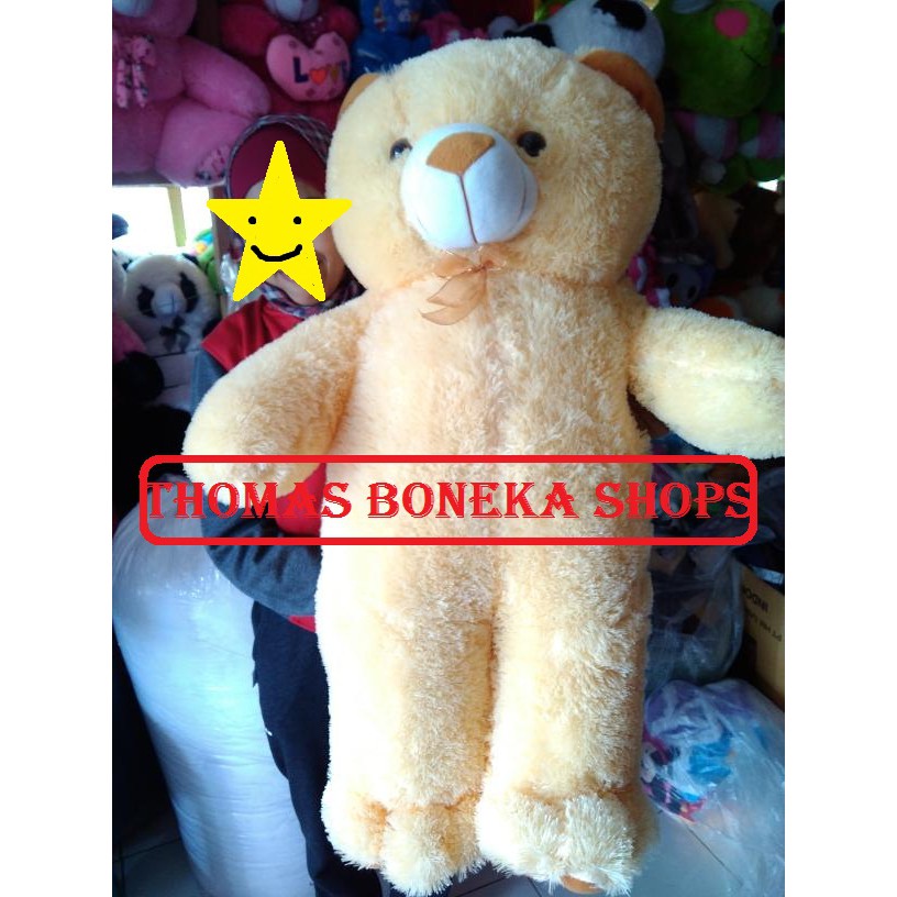 Detail Foto Boneka Teddy Bear Lucu Nomer 41