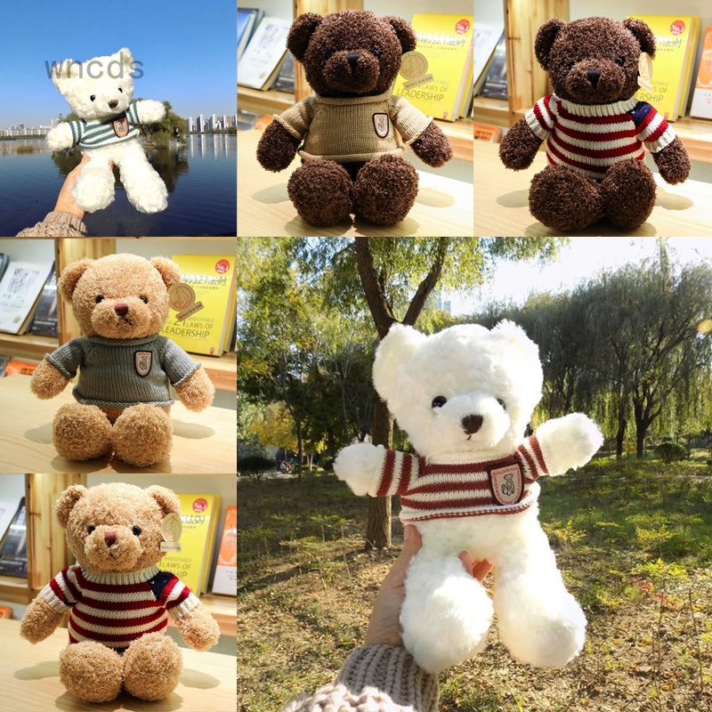 Detail Foto Boneka Teddy Bear Lucu Nomer 42