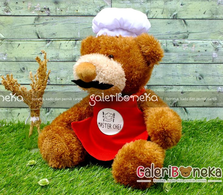 Detail Foto Boneka Teddy Bear Lucu Nomer 45