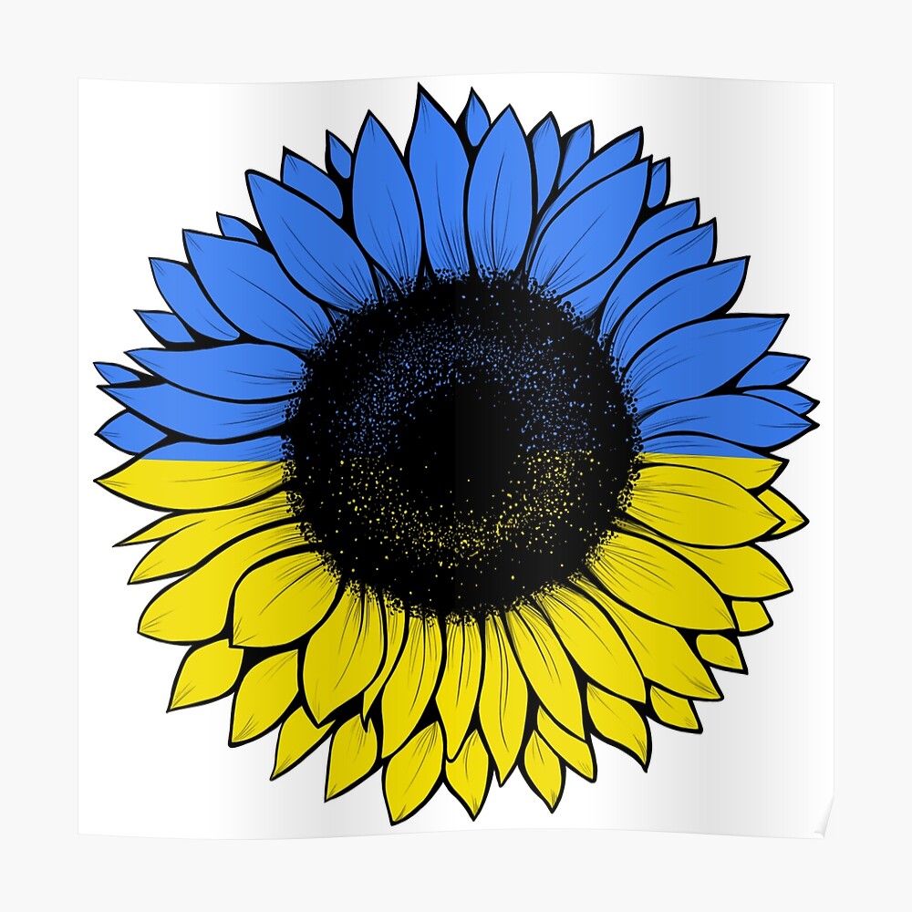 Detail Sonnenblume Ukraine Nomer 8