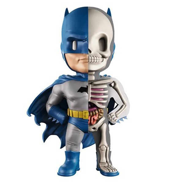 Batman Anatomy - KibrisPDR