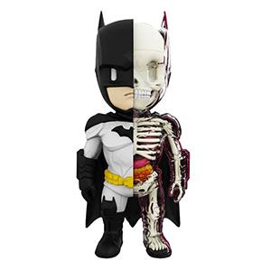 Detail Batman Anatomy Nomer 2