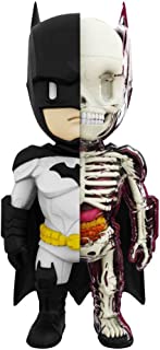 Detail Batman Anatomy Nomer 26
