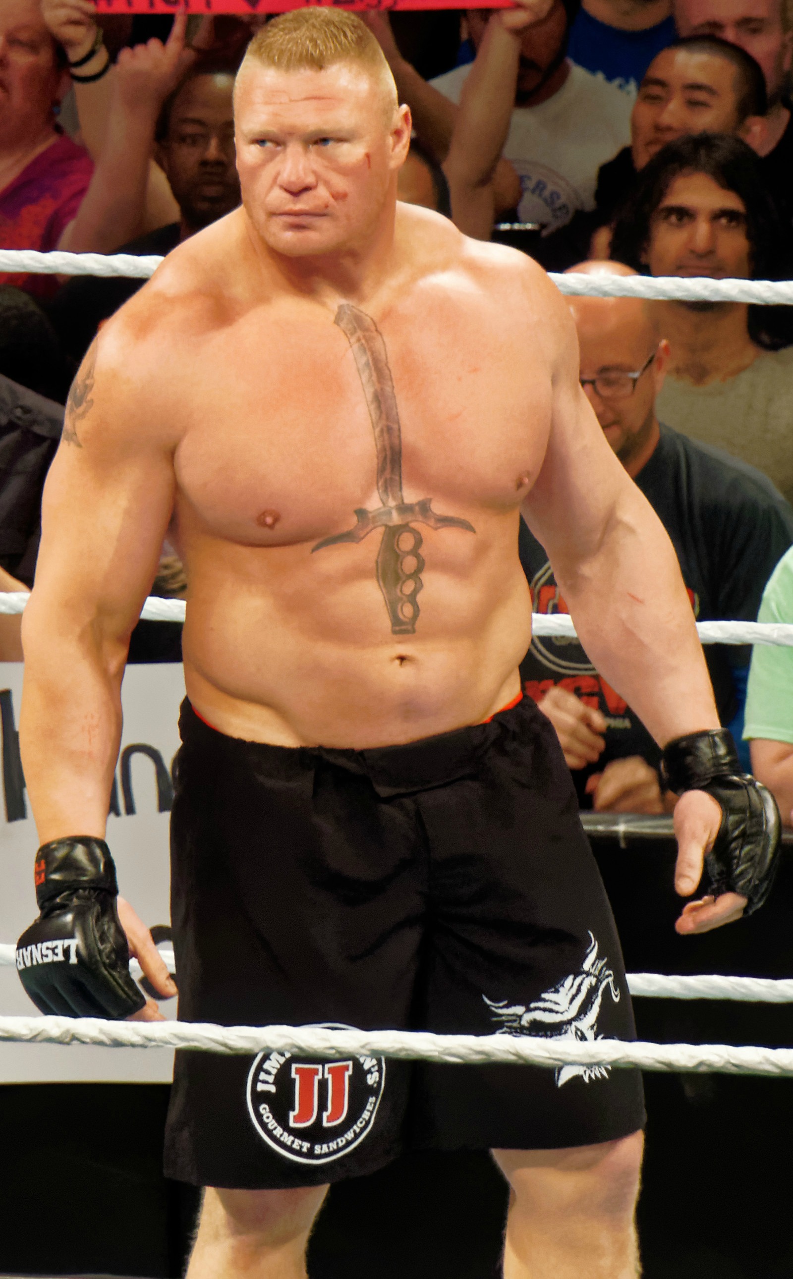 Foto Brock Lesnar - KibrisPDR