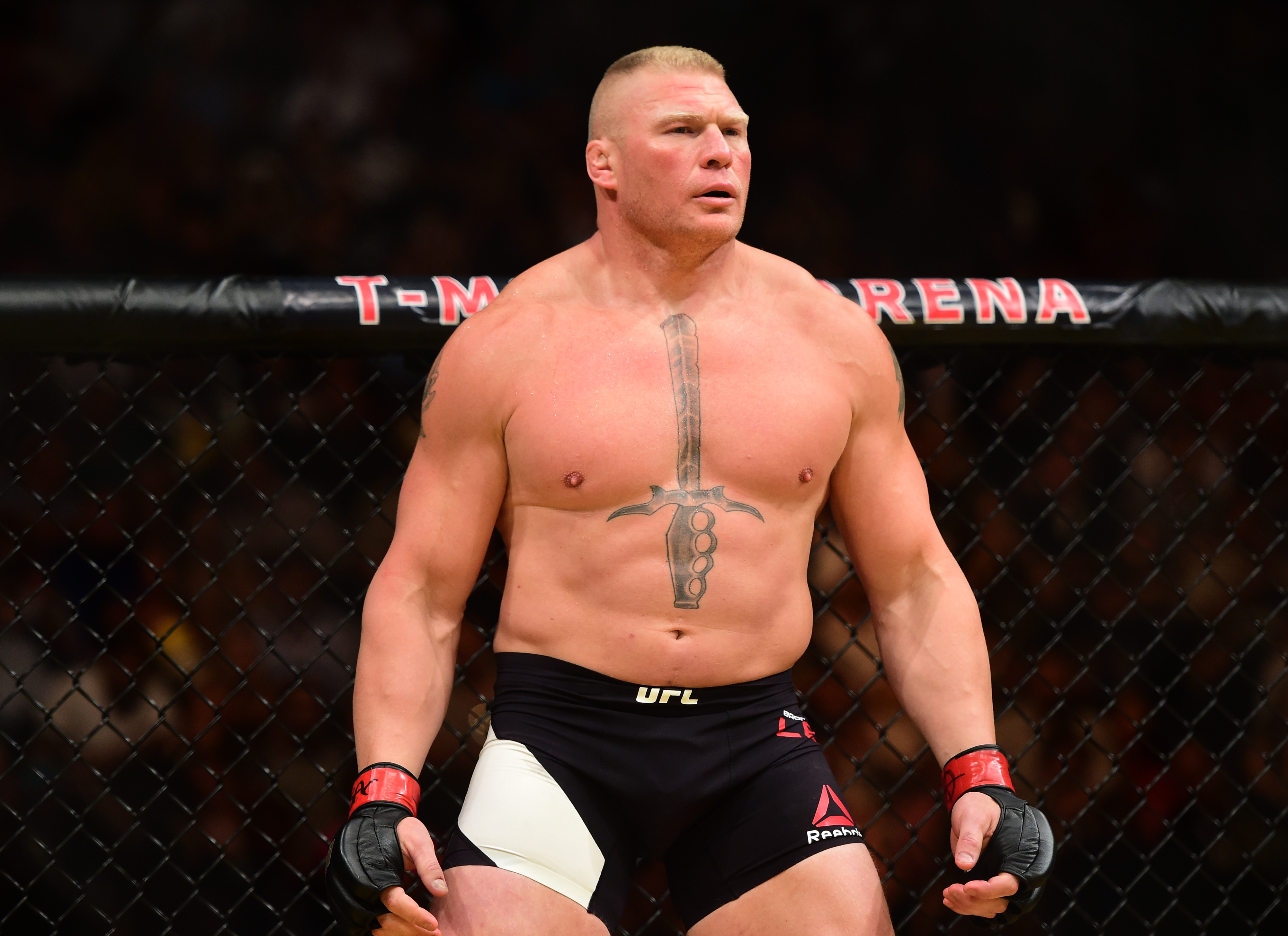 Detail Foto Brock Lesnar Nomer 30