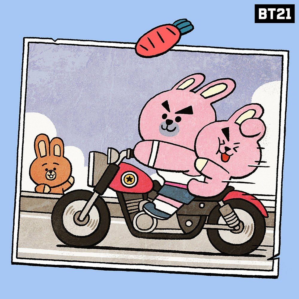 Detail Foto Bt21 Cookie Nomer 34