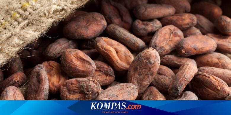 Detail Foto Buah Coklat Nomer 41