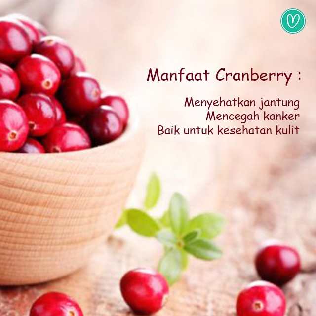 Detail Foto Buah Cranberry Nomer 40